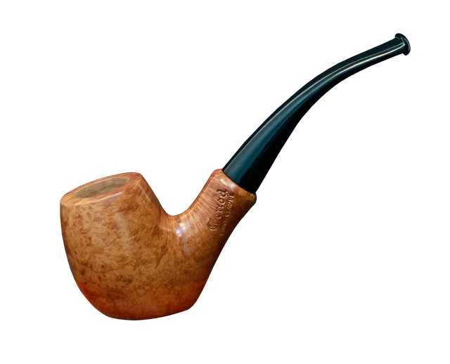 vincent-genod-plume-50-naturelle-pipe-bruy-re-posable image 1