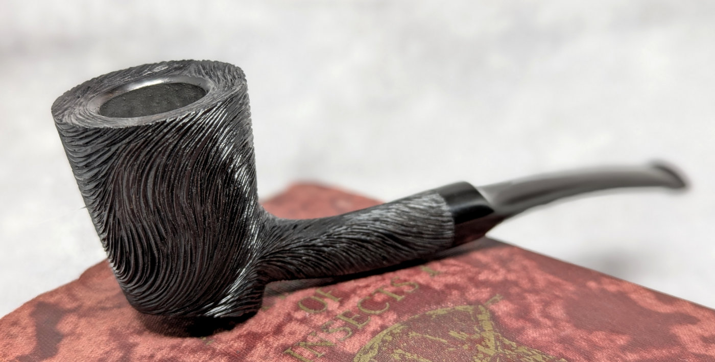 trever-talbert-collector-pipe-bruy-re-25c1lb-alg-rienne image 2