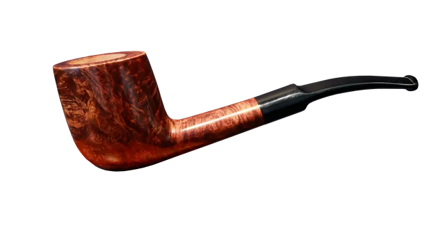vincent-genod-bordeaux-194-pipe-demi-courbe-bruy-re-ovale image 1
