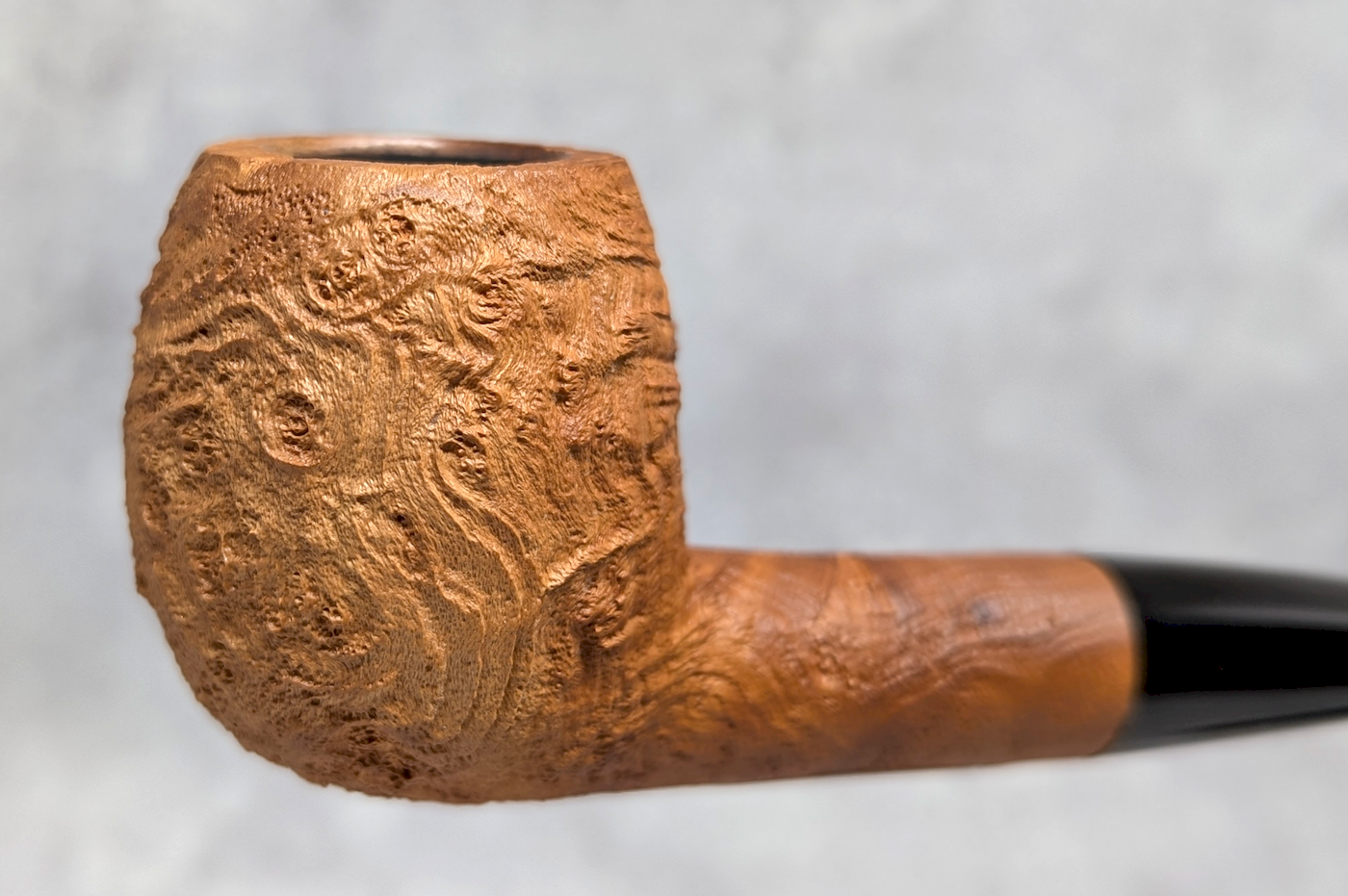trever-talbert-ligne-bretagne-2602lb-pipe-bruy-re-sabl-e image 4
